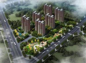 邢台楼盘爆料最新消息,最新楼盘爆料揭秘