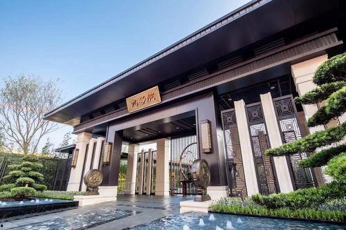 阜阳中梁最新爆料信息,揭秘神秘爆料背后的真相