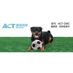 最新草系宠物爆料图,萌动春意，绿意盎然！