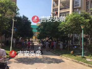 阳光新城最新爆料信息网,揭秘神秘项目背后的惊人真相