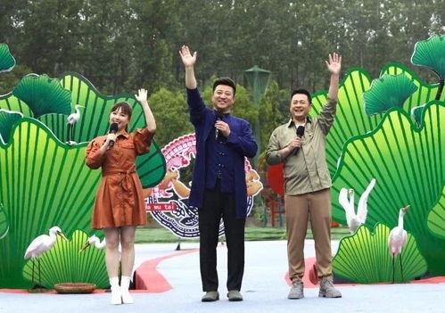 小奇最新爆料新闻视频,最新爆料新闻视频深度解析